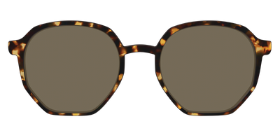 The Polarized Tortoise Sun Top - Front Top Thumbnail - Pair Eyewear