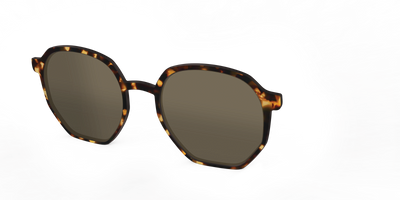 The Polarized Tortoise Sun Top - Angle Top Thumbnail - Pair Eyewear