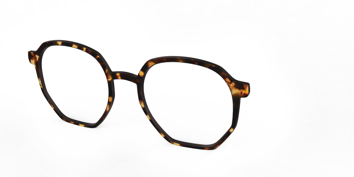 The Tortoise - Angle Top Image - Pair Eyewear