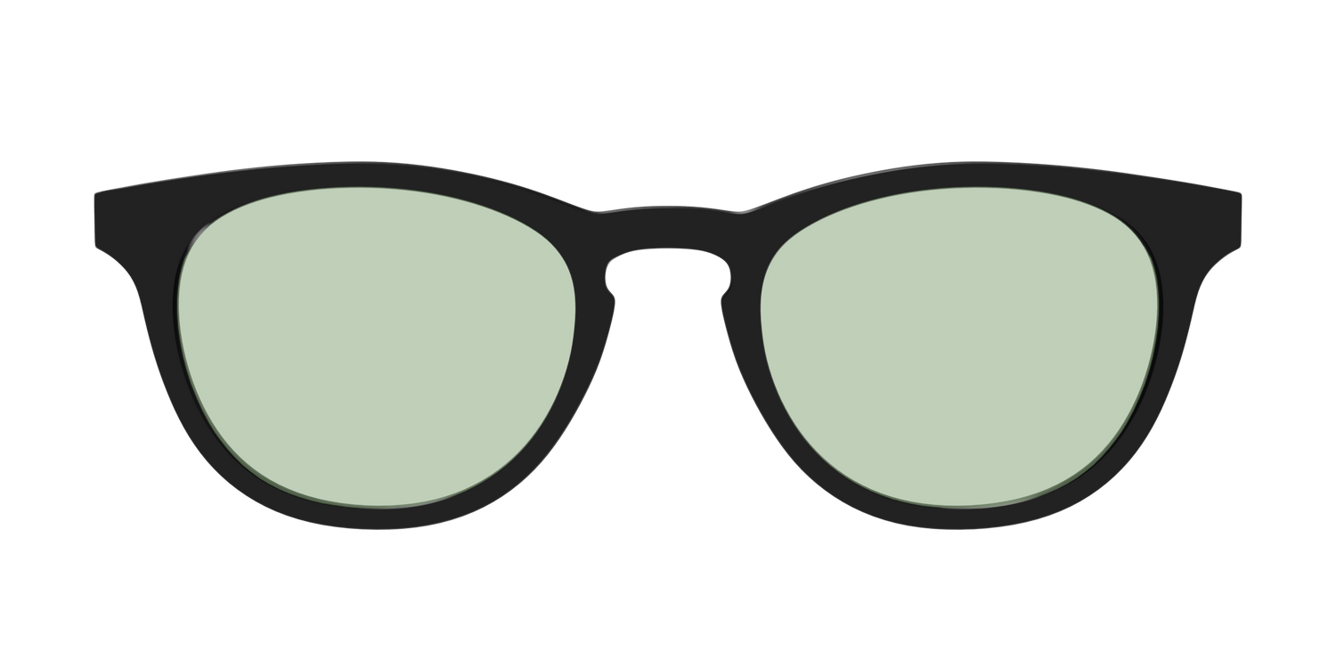 The Black With Sage Green Lens - Front Top Image - Pair Eyewear