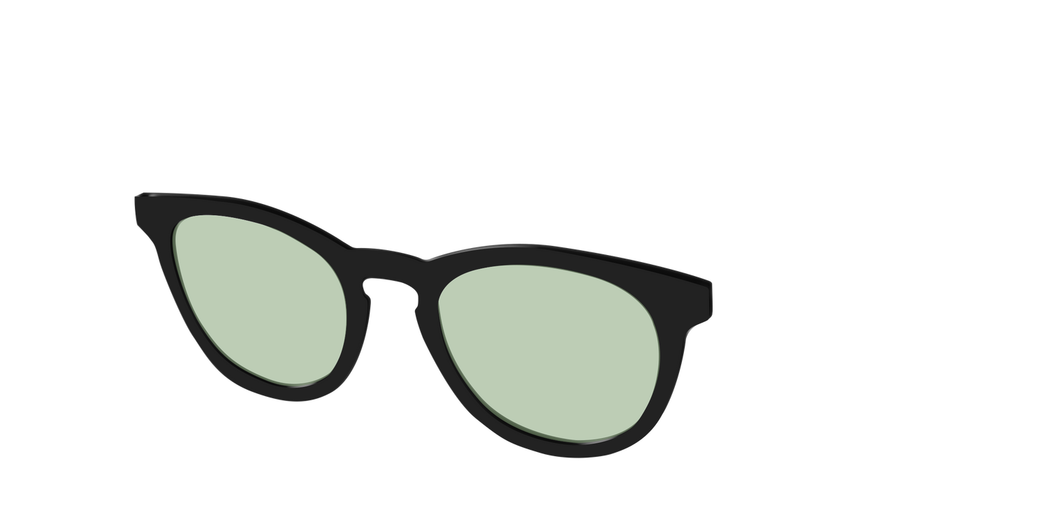 The Black With Sage Green Lens - Angle Top Image - Pair Eyewear