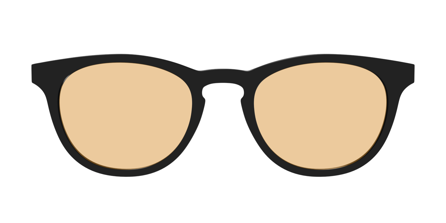 The Black With Umber Brown Lens - Front Top Image - Pair Eyewear