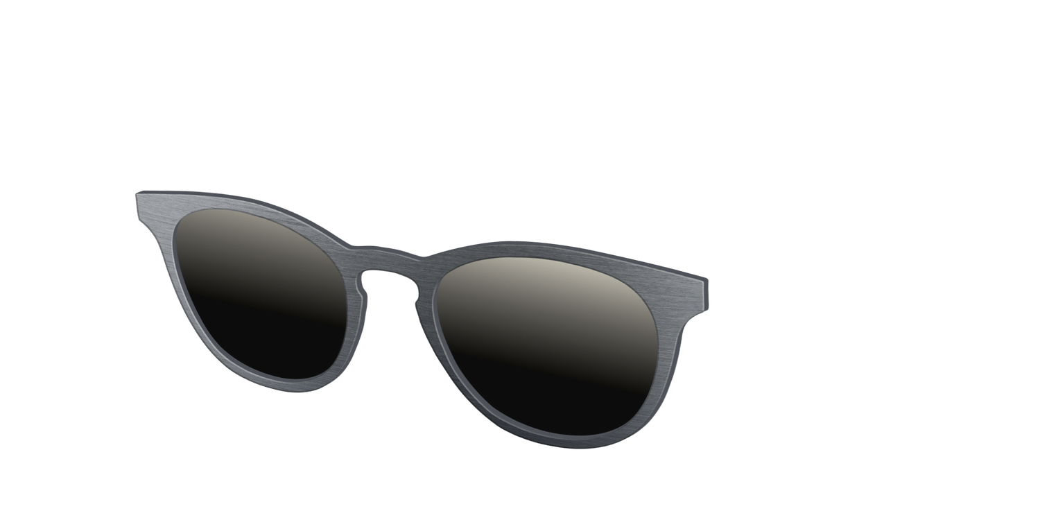 The Polarized Brushed Nickel Sun Top - Angle Top Image - Pair Eyewear