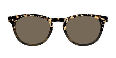 The Polarized Caramel Tortoise Horn Split Sun Top - Front Top Thumbnail - Pair Eyewear
