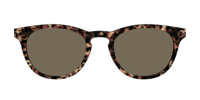 The Polarized Sienna Tortoise Sun Top - Front Top Thumbnail - Pair Eyewear