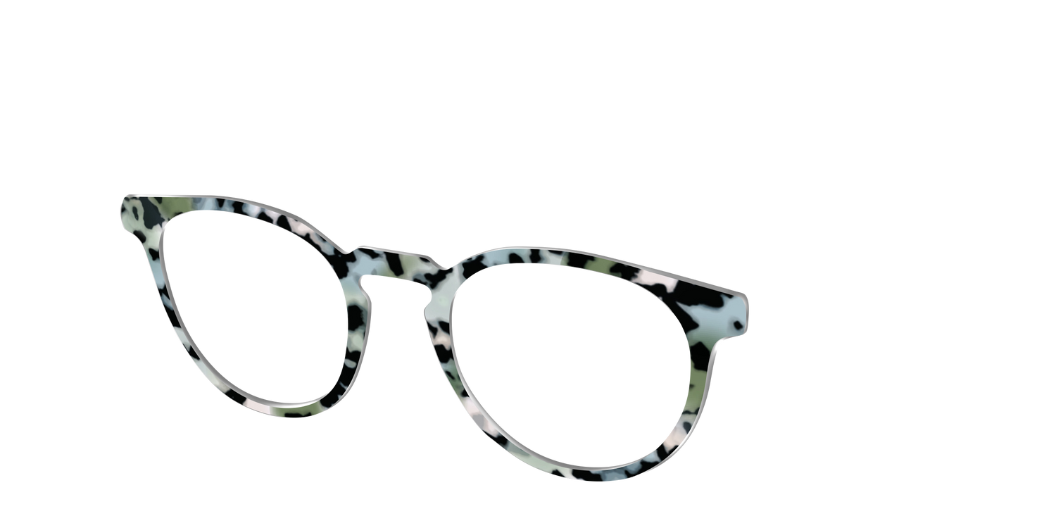 The Expressive Tortoise - Angle Top Image - Pair Eyewear
