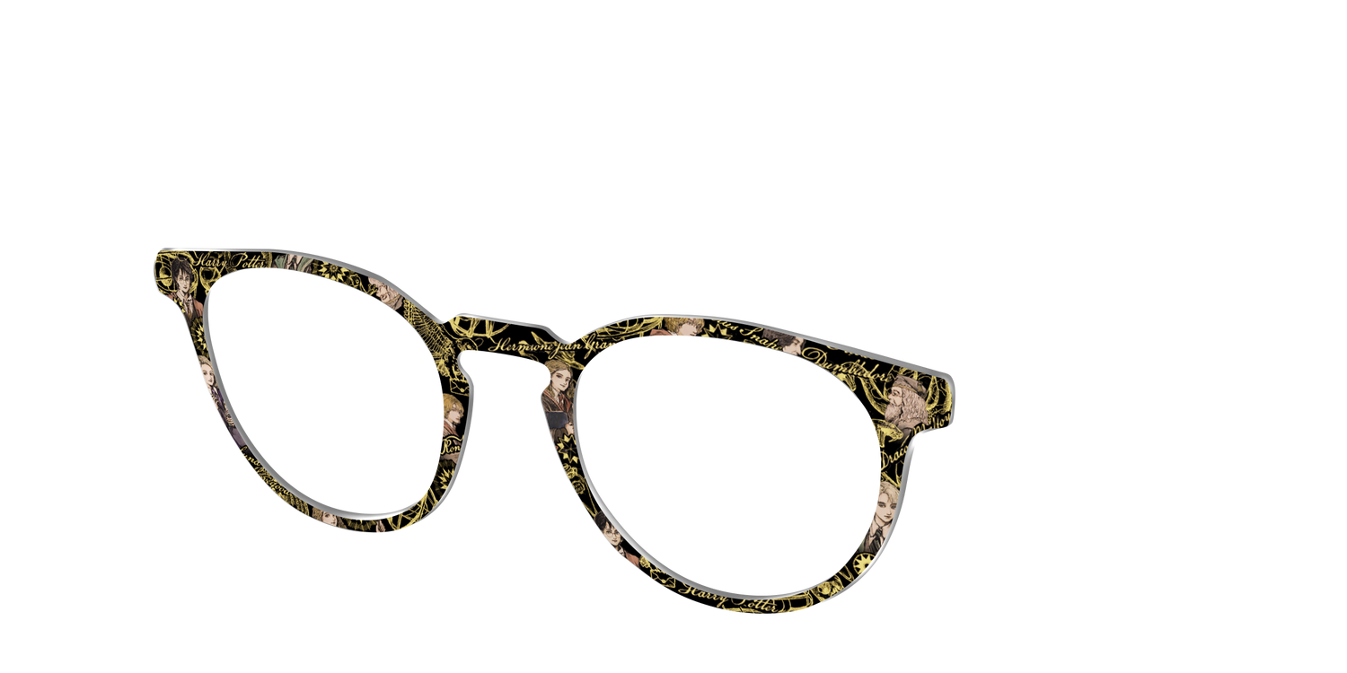 The Harry Potter Toile - Angle Top Image - Pair Eyewear
