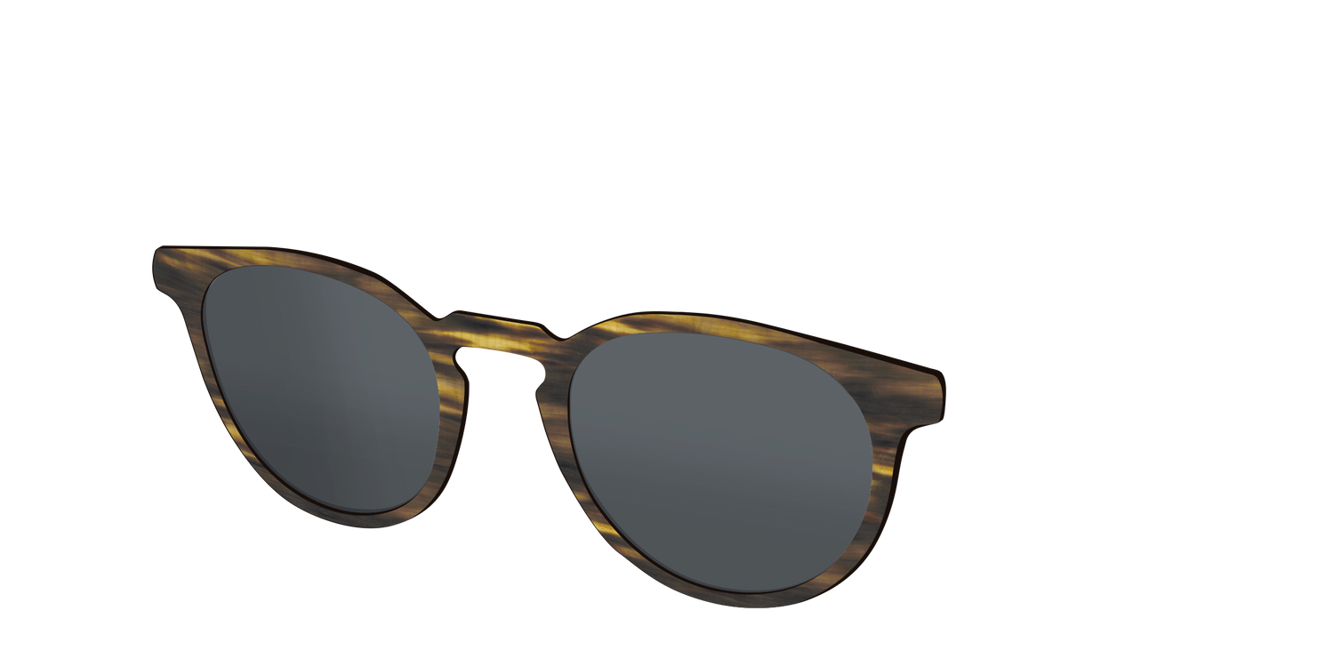 The Polarized Horn Sun Top - Angle Top Image - Pair Eyewear