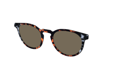 The Polarized Gray & Amber Tortoise Sun Top - Angle Top Thumbnail - Pair Eyewear