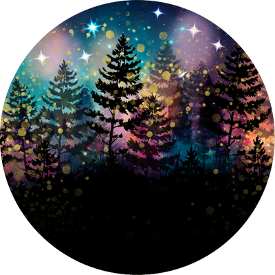 The Stargazing Night Sky