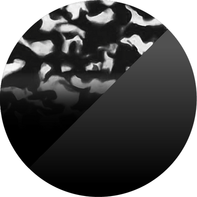 The Stargazing Night Sky