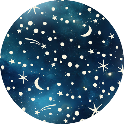 The Stargazing Night Sky