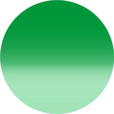 The Sea Violet Pearl Shell