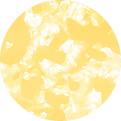 The Summer Sun Scallop
