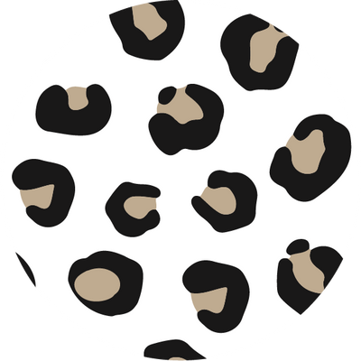 The Classic Cheetah
