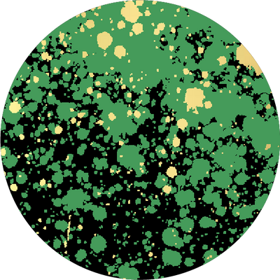 The Bokeh Dot