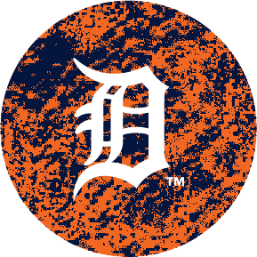 The Astros Home Run