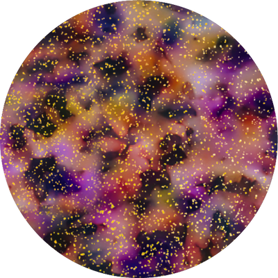 The Spooktacular Tortoise with Glitter