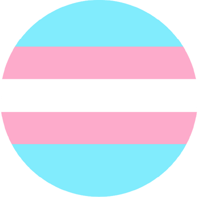 The Traditional Pride Flag