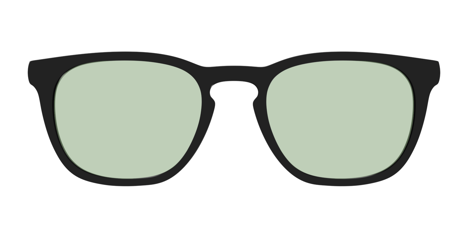The Black With Sage Green Lens - Front Top Image - Pair Eyewear