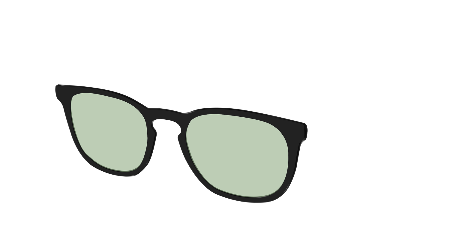 The Black With Sage Green Lens - Angle Top Image - Pair Eyewear