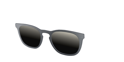 The Polarized Brushed Nickel Sun Top - Angle Top Thumbnail - Pair Eyewear