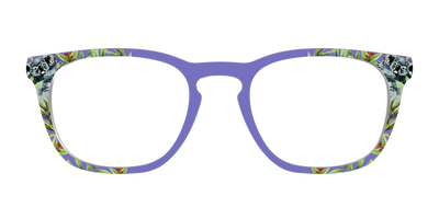 The Cuddly Koalas - Front Top Thumbnail - Pair Eyewear