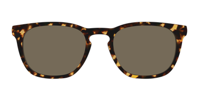The Non-Polarized Tortoise Sun Top - Front Top Thumbnail - Pair Eyewear