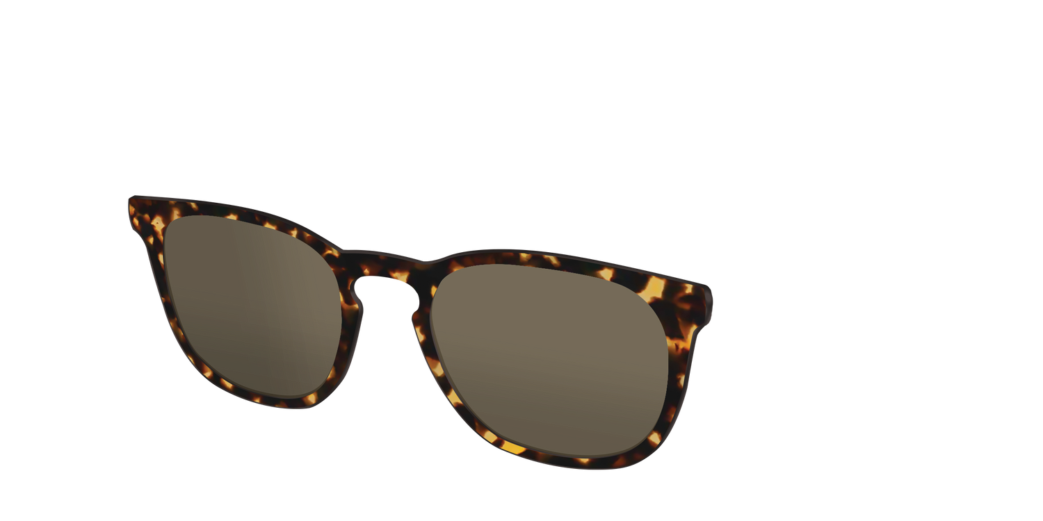 The Non-Polarized Tortoise Sun Top - Angle Top Image - Pair Eyewear
