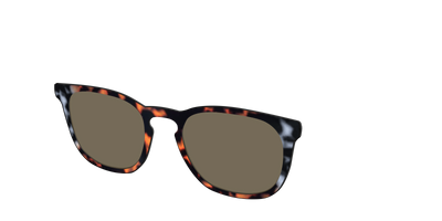 The Polarized Gray & Amber Tortoise Sun Top - Angle Top Thumbnail - Pair Eyewear