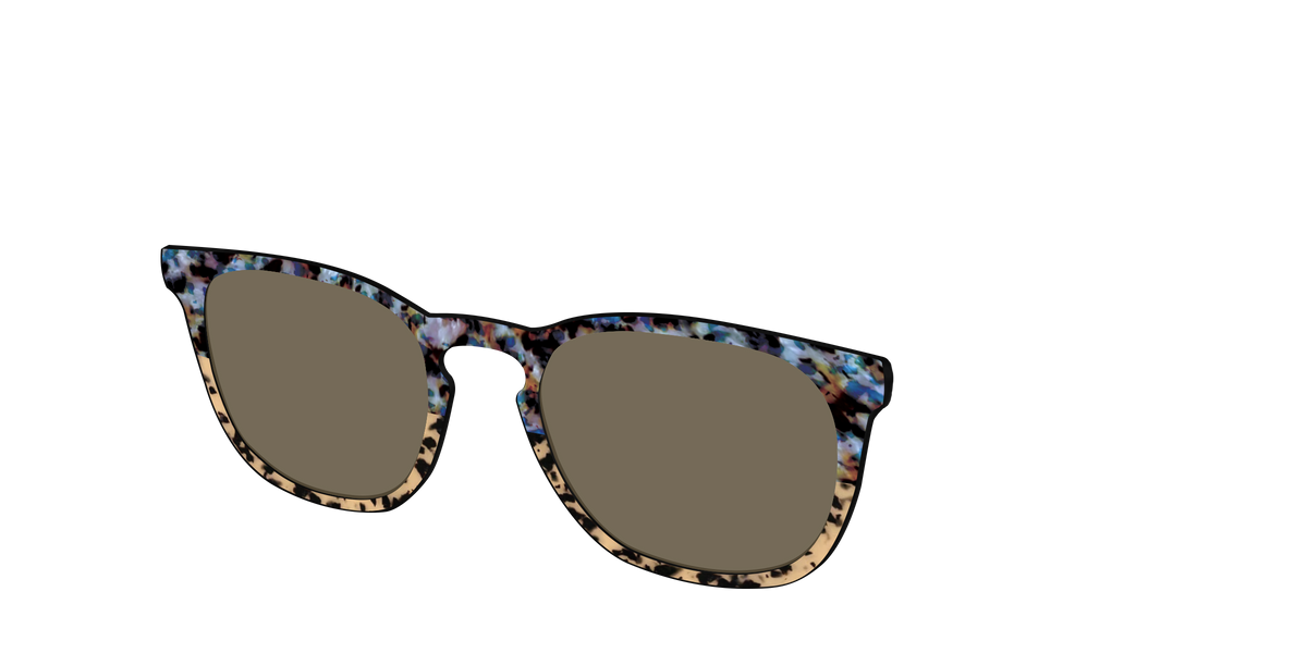 The Polarized Oasis Tortoise Split Sun Top - Angle Top Image - Pair Eyewear