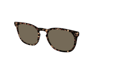 The Polarized Sienna Tortoise Sun Top - Angle Top Thumbnail - Pair Eyewear