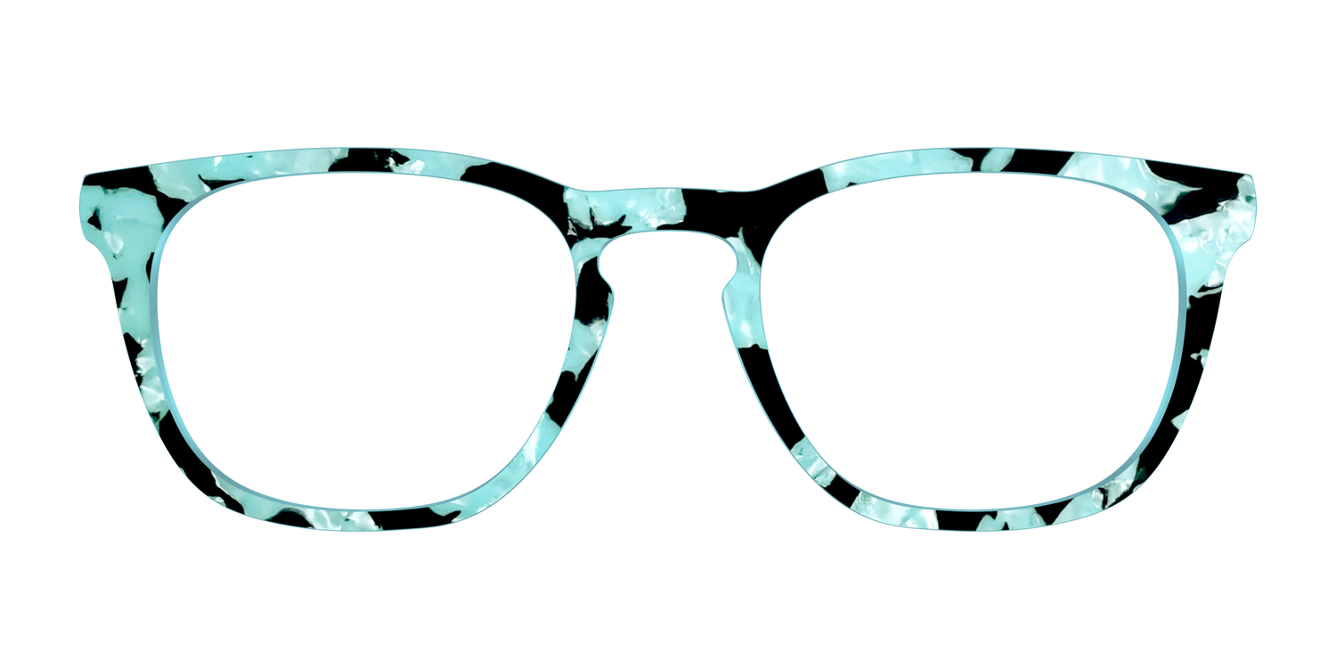 The Robin's Egg Pearl Tortoise - Front Top Image - Pair Eyewear