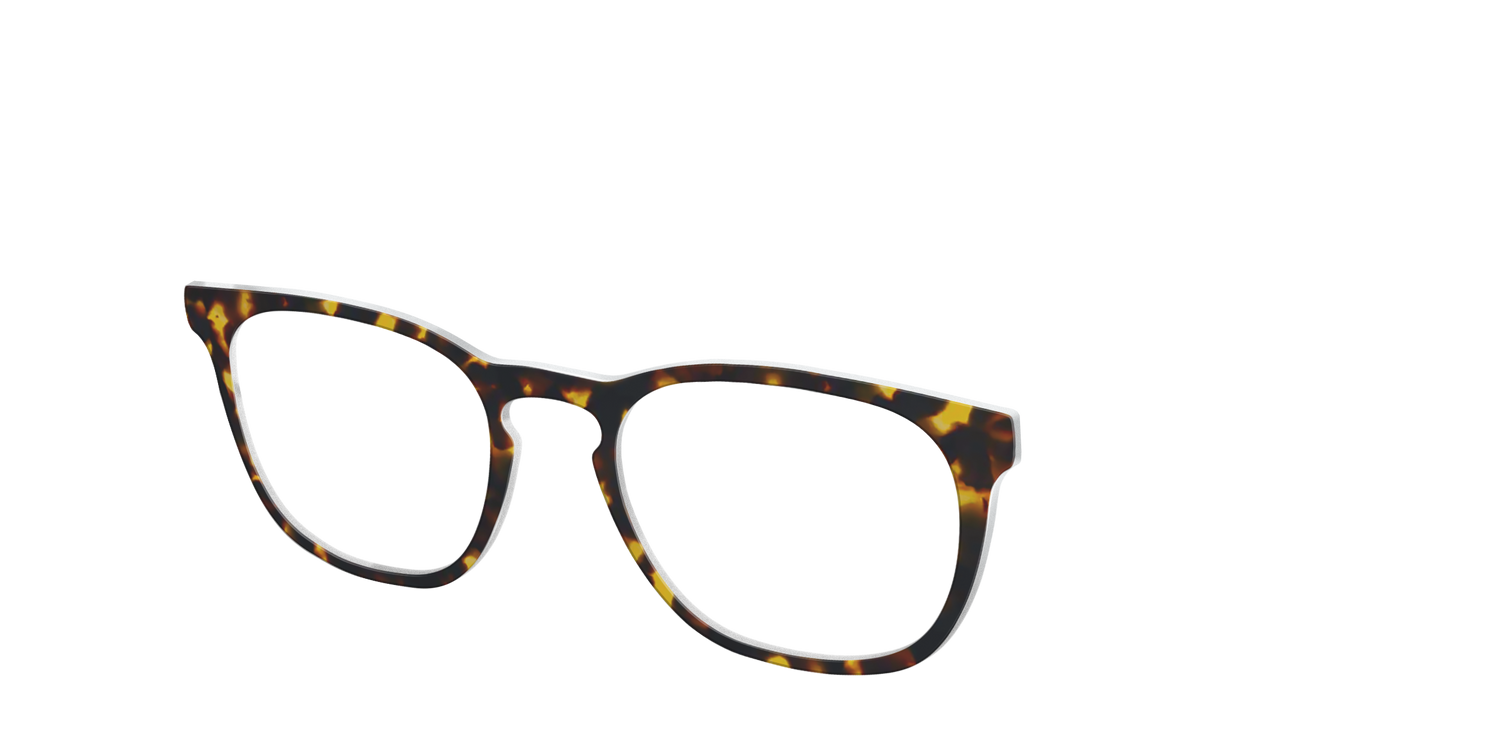 The Tortoise - Angle Top Image - Pair Eyewear