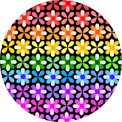 The Traditional Pride Flag