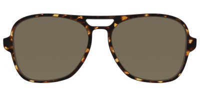 The Polarized Tortoise Sun Top - Front Top Thumbnail - Pair Eyewear