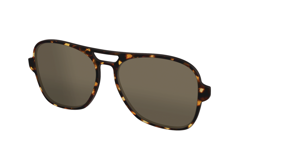 The Polarized Tortoise Sun Top - Angle Top Image - Pair Eyewear