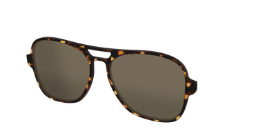 The Polarized Tortoise Sun Top - Angle Top Thumbnail - Pair Eyewear