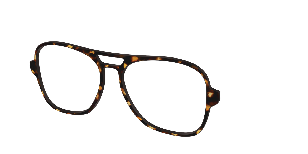 The Tortoise - Angle Top Image - Pair Eyewear