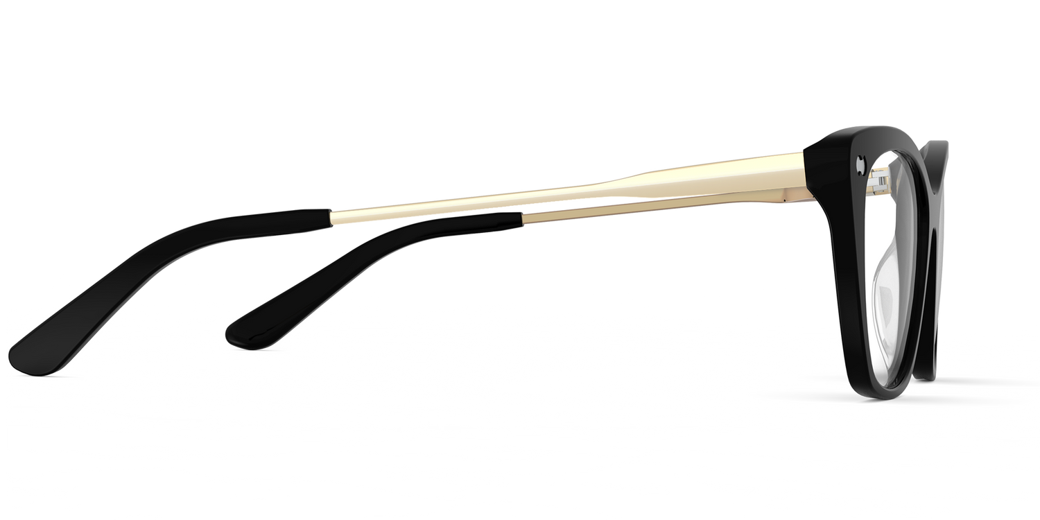 The Wanda - Black Acetate Gold Metal - Carousel3 - Pair Eyewear
