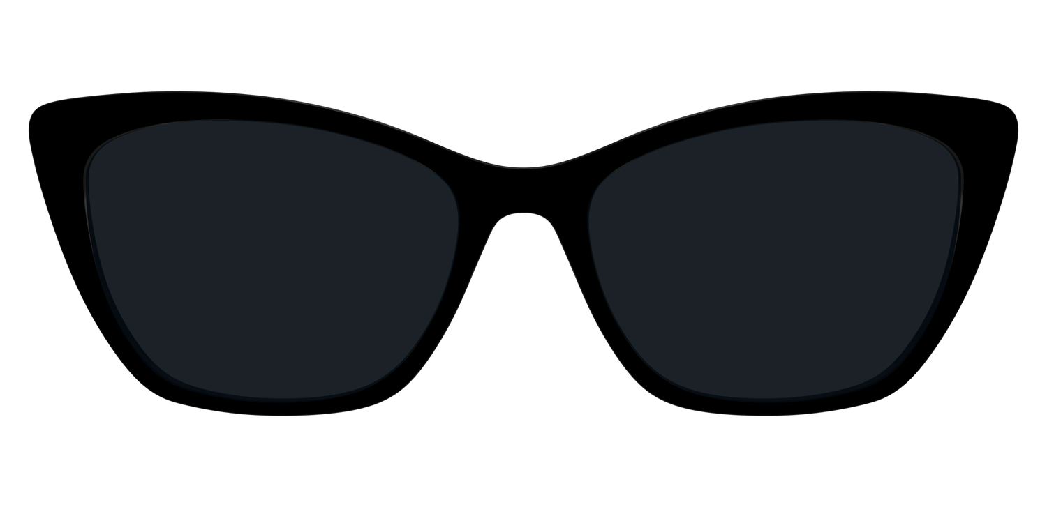 The Non-Polarized Black Sun Top - Front Top Image - Pair Eyewear
