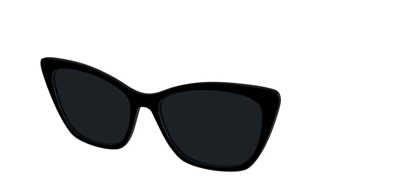 The Non-Polarized Black Sun Top - Angle Top Image - Pair Eyewear