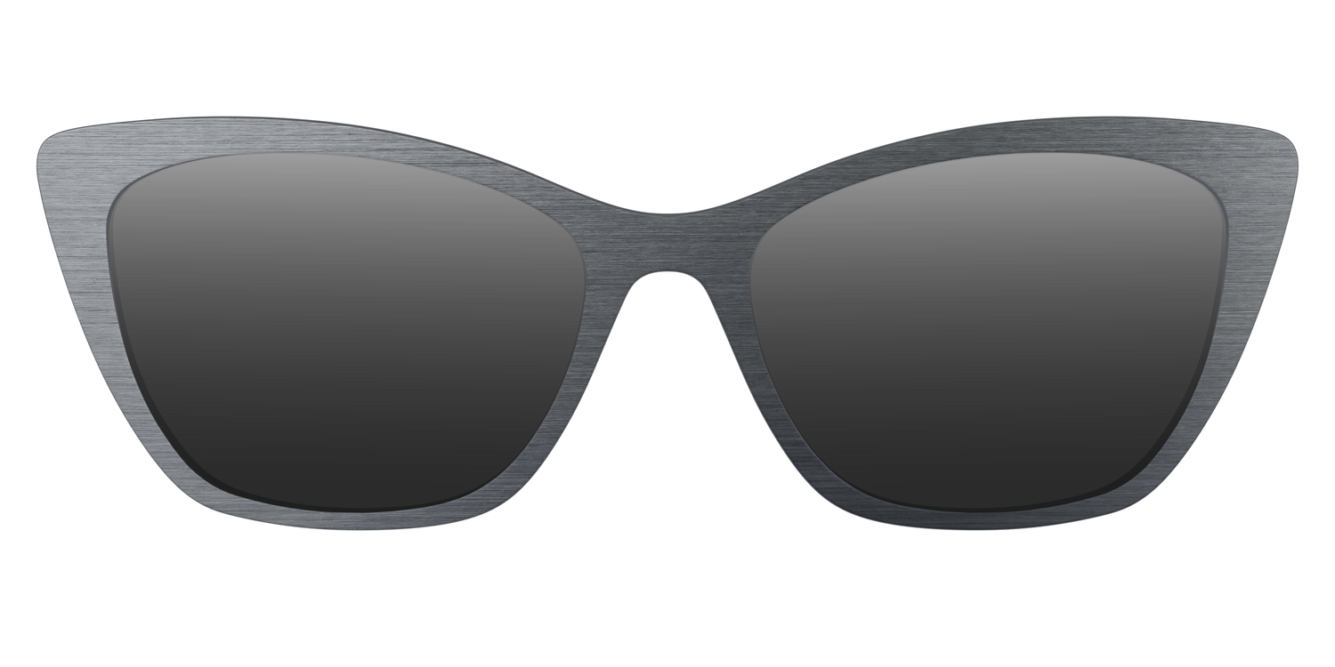 The Polarized Brushed Nickel Sun Top - Front Top Image - Pair Eyewear