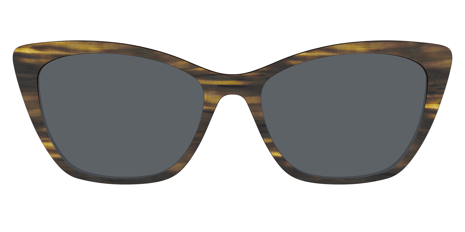 The Polarized Horn Sun Top - Front Top Image - Pair Eyewear