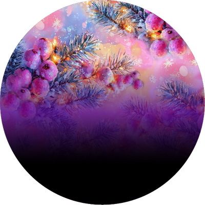 The Frozen Berries
