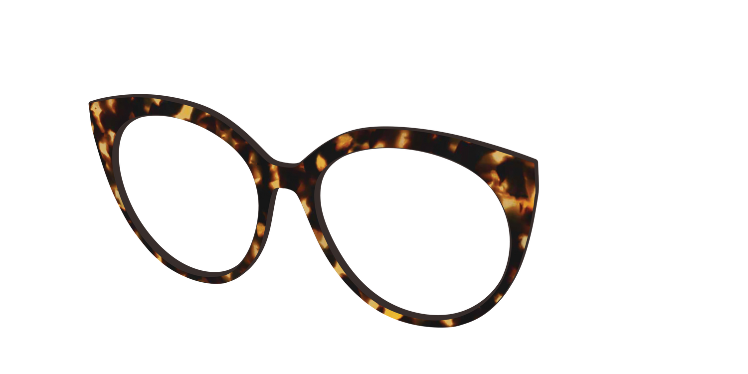 The Tortoise - Angle Top Image - Pair Eyewear