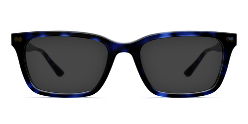 The Larkin - Blue Tortoise Sun - Pair Eyewear