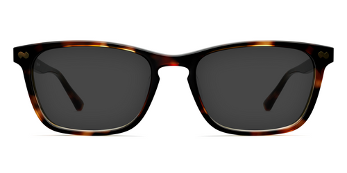 The Casper - Tortoise Sun - Pair Eyewear