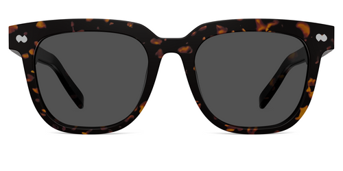 The Payton - Tortoise Sun - Pair Eyewear