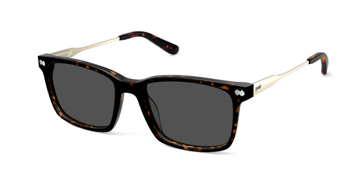 The Kirby - Tortoise Acetate Gold Metal Sun - Pair Eyewear